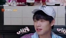 娱乐圈吃瓜爆料肖战杨紫,娱乐圈的甜蜜瓜田，揭秘他们的幕后故事