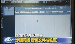 新闻爆料怎么查询案件,追踪案件生成过程
